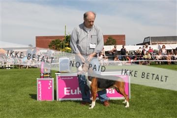 130370_se_02_IMG_6452.JPG