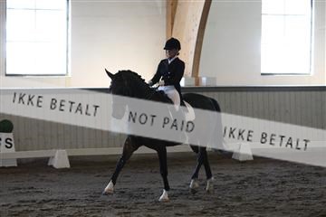 139267_kl_1_8M1Q6836.JPG