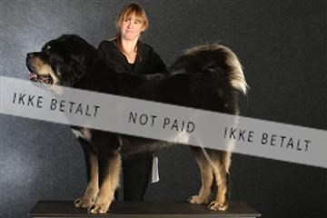 132082_le_ 01_IMG_0654.JPG