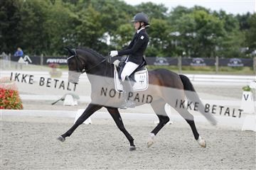 166078_rhj_01__J7R4630.JPG