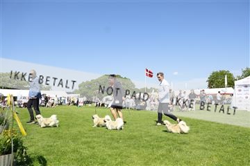 181564_kar_01__62_7744.JPG