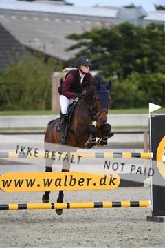 169152_abo_01_D05_0331.JPG
