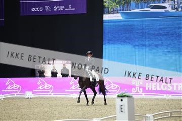 182194_mlm_02_R62_1057.JPG