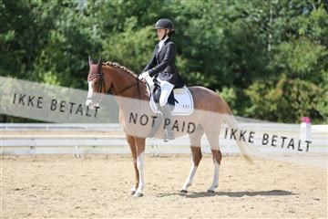 156196_nn_01_IMG_6240.JPG