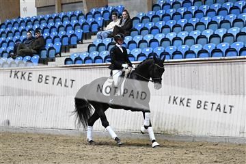 182241_kbb_01_Z094869.JPG