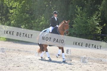 168732_mtp_01_3M5A7903.JPG