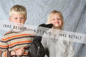 6068_ma_04_IMG_5382.JPG