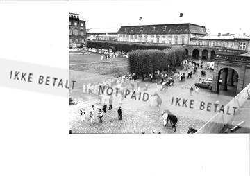 2540-29A?89 Eliteskue.jpg