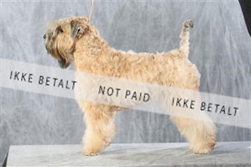 128239_le_kort_ 01_0339.JPG