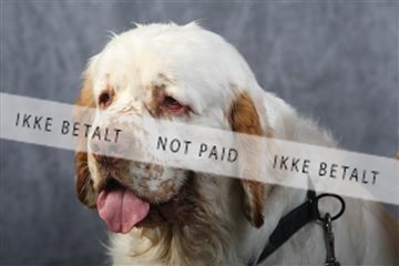 129608_le_ 01_0720.JPG