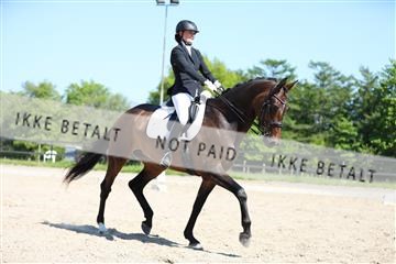 168732_mtp_01_3M5A7977.JPG