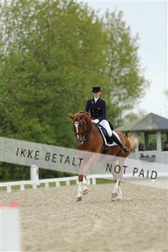 139835_sg_01_IMG_7485.JPG