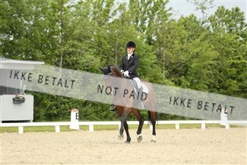 139835_sg_01_IMG_7426.JPG