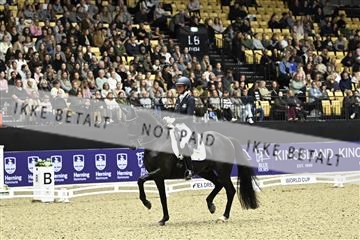 182194_kbb_03_Z092610.JPG