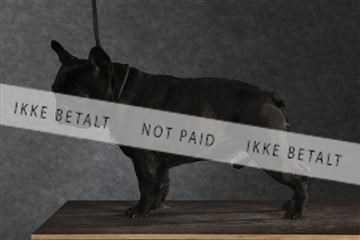 132082_le_ 01_IMG_1511.JPG