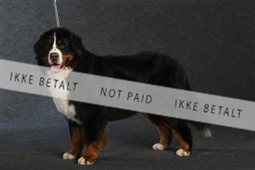 132082_le_ 01_IMG_0867.JPG