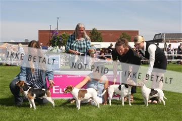 130370_se_02_IMG_6280.JPG