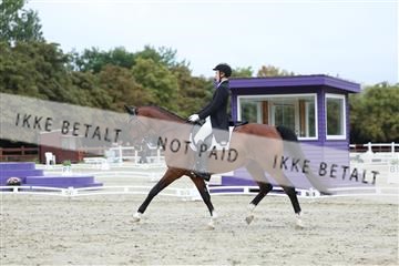 181923_mtp_01_R62_6815.JPG