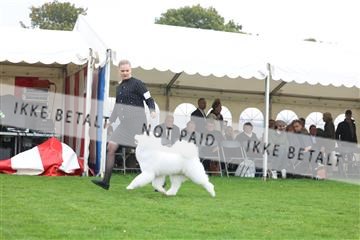 182009_rin_01_R62_7642.JPG