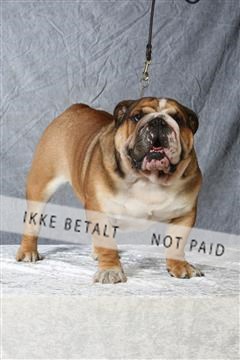 6068_ma_04_IMG_5217.JPG