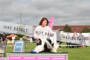 130370_tl_01_IMG_7448.JPG