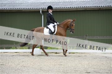 139898_ms_01__MS27579.JPG