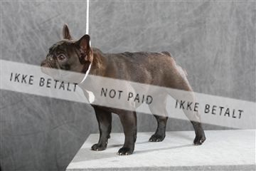 130054_le_ 01_0119.JPG