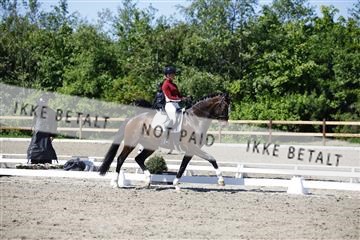 181449_kbb_01_6II9274.JPG