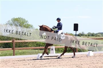 181449_bc_01R62_5642.JPG