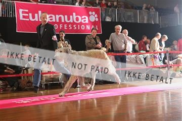 6068_ma_05_IMG_5700.JPG