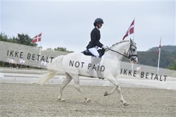 169624_kbb_01__KBB8136.JPG