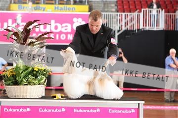 6068_ma_07_IMG_7100.JPG