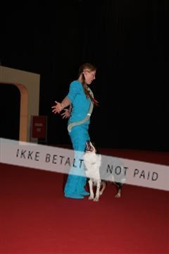 126827_tl_02_IMG_2778.JPG