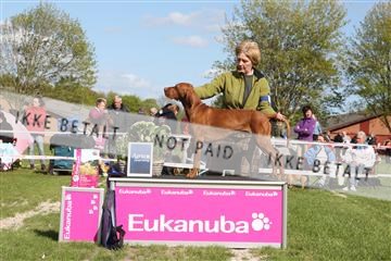 134871_ms_01_IMG_4023.JPG