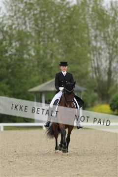139835_sg_02_IMG_8496.JPG