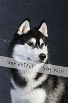 132082_le_ 01_IMG_0106.JPG