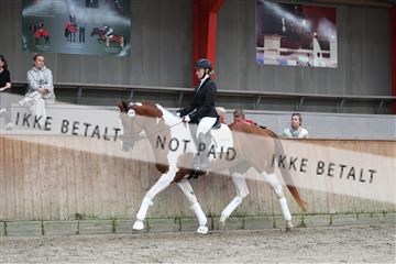 181867_mtp_01_R62_3948.JPG