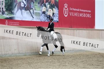 181887_mtp_04_R62_8745.JPG