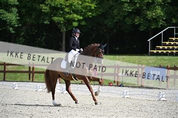 176255_mtp_01_Z09_0343.JPG
