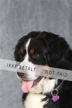 130054_le_ 03_0335.JPG