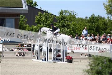 181436_avh_03_4378.JPG