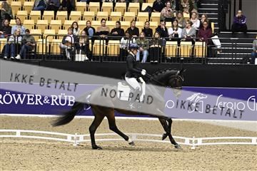 182194_kbb_03_Z091374.JPG