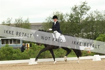 124639_abo_01_IMG_9927.JPG