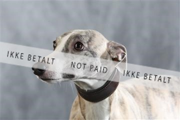 128239_le_kort_ 02_0011.JPG