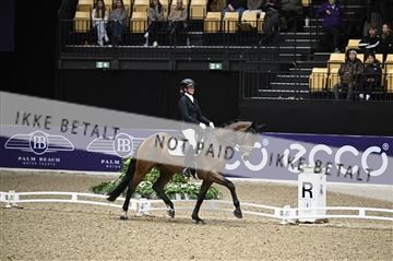 182194_kbb_01_Z096843.JPG