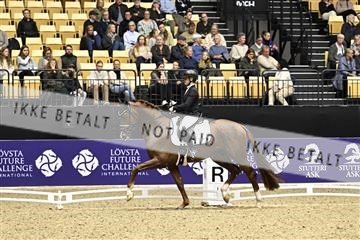 182194_kbb_03_Z090937.JPG