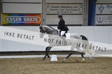 140040_abo_02__AB18936.JPG