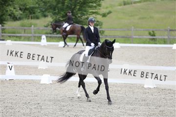 172030_mtp_01_3M5A1821.JPG