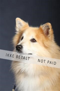 132082_le_ 01_IMG_1047.JPG