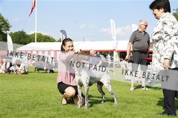 181564_kar_01__62_7357.JPG